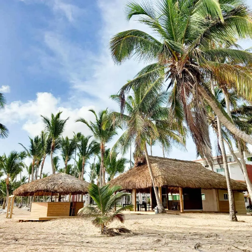 Palm trees surrounded by Castaway's Restaurant at Playa Palmera